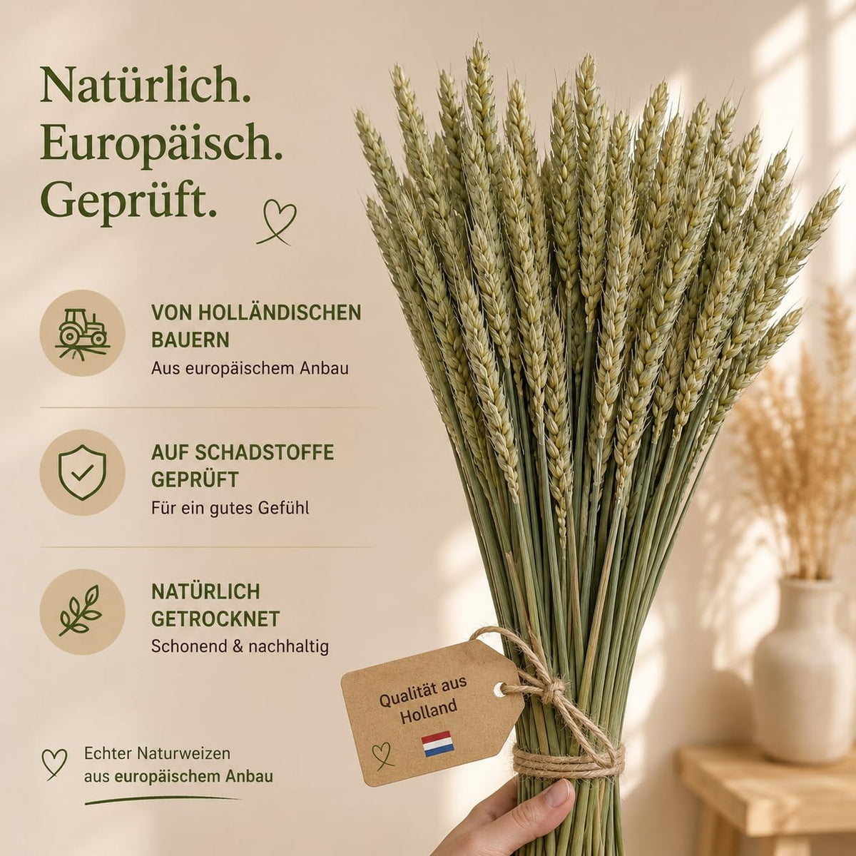Getrockneter Weizen im Bund – Bild 2