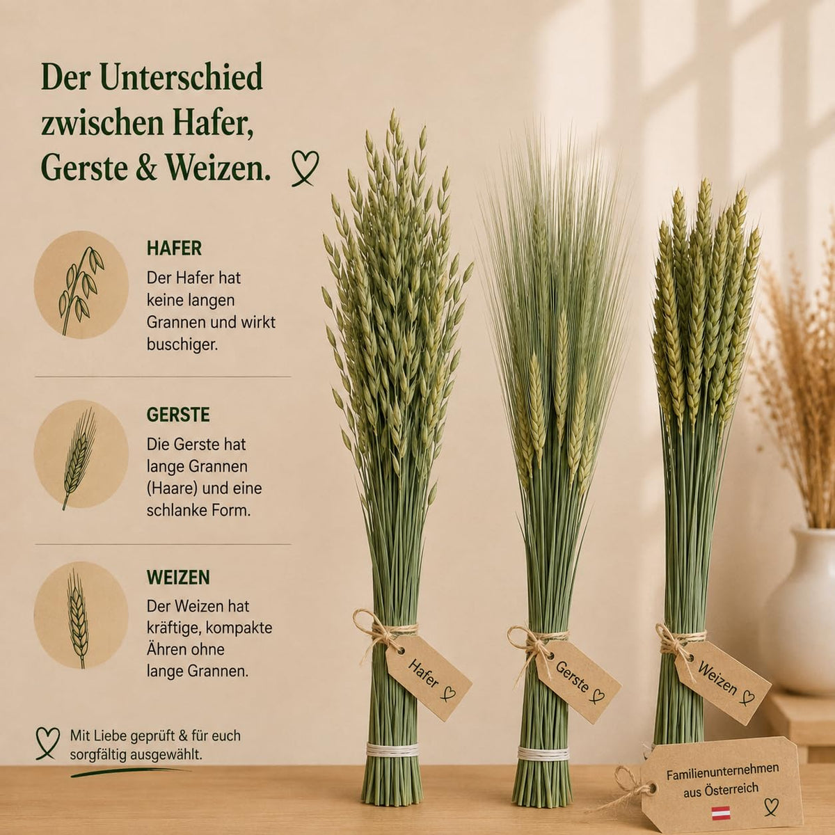 Getrockneter Weizen im Bund – Bild 5