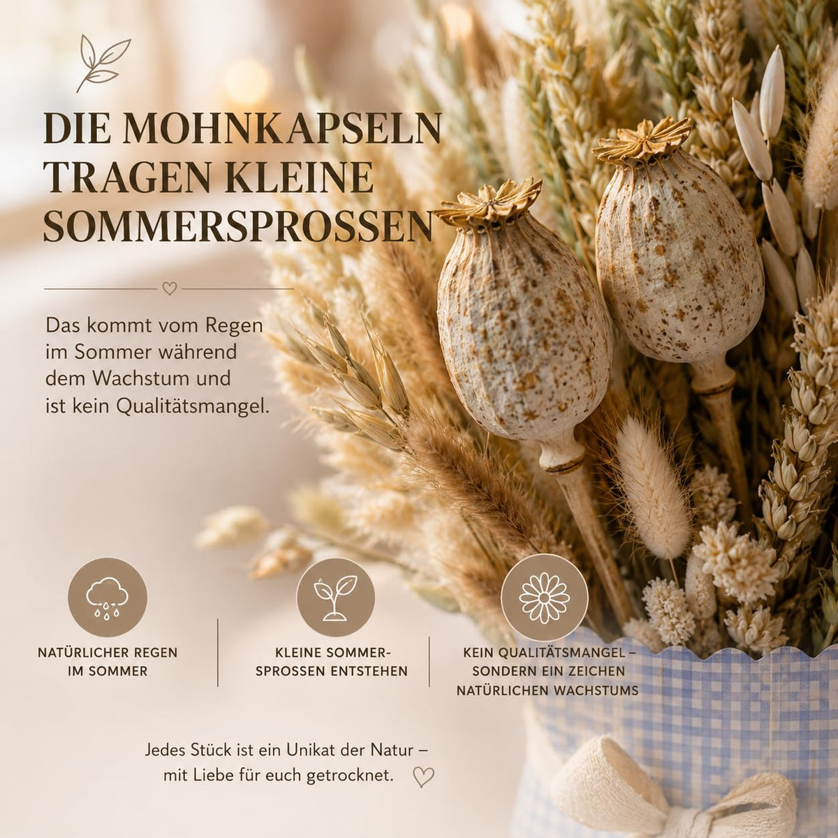 Trockenblumen Geschenkset mit Papiervase – Bild 5
