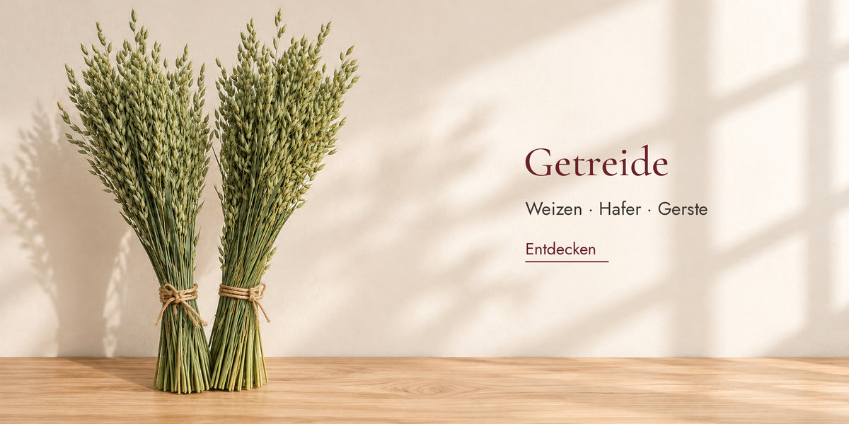 Getreide – Weizen, Hafer, Gerste